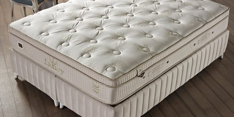 Leading brand with its mission and vision