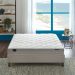 Refrigerated Bed Technology