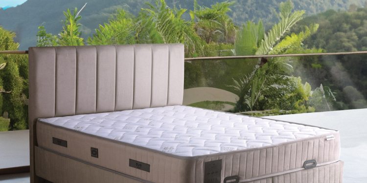 Eve Bedding made its first launch