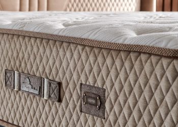 Bambi: We will increase production and employment by 30 percent with factory investment